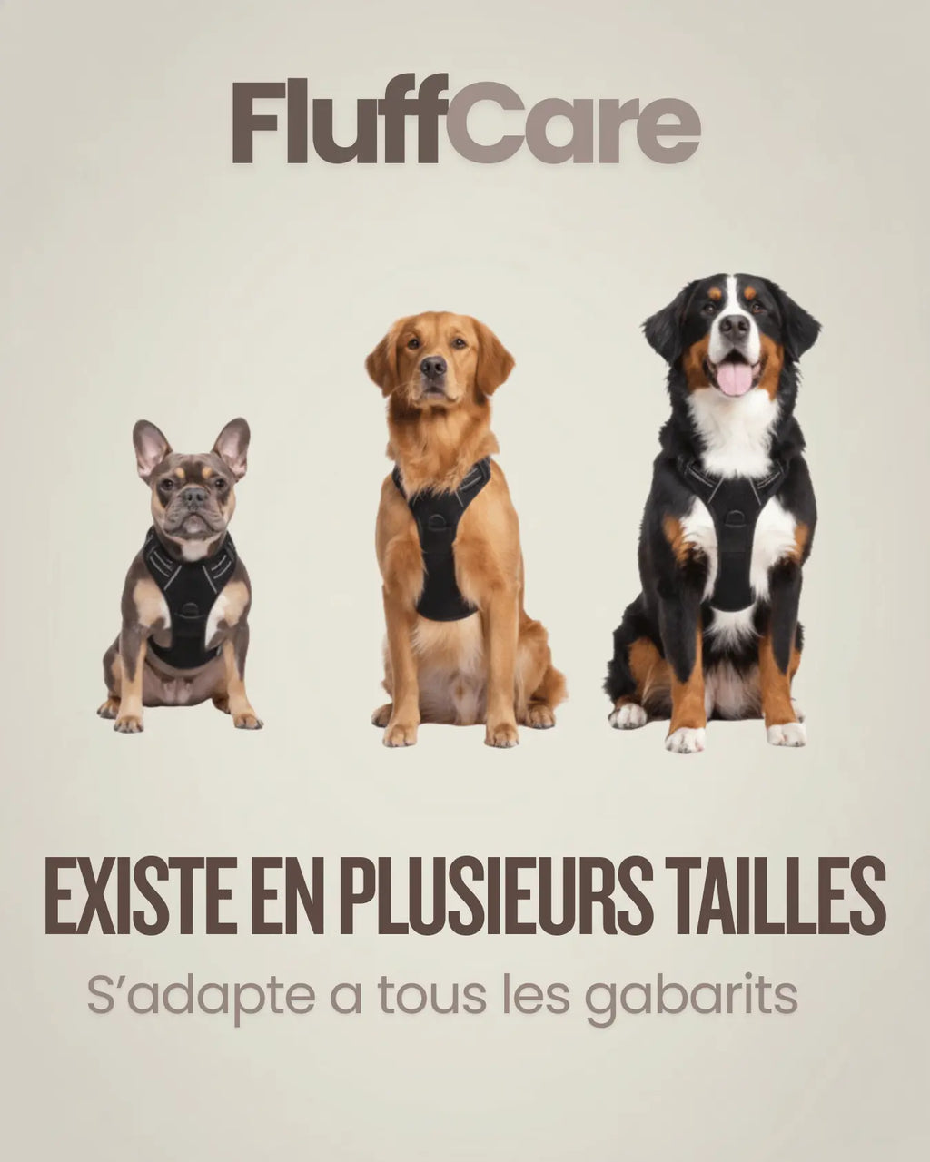 Harnais SafeWalk™ – Confort & Sécurité pour Chien FluffCare