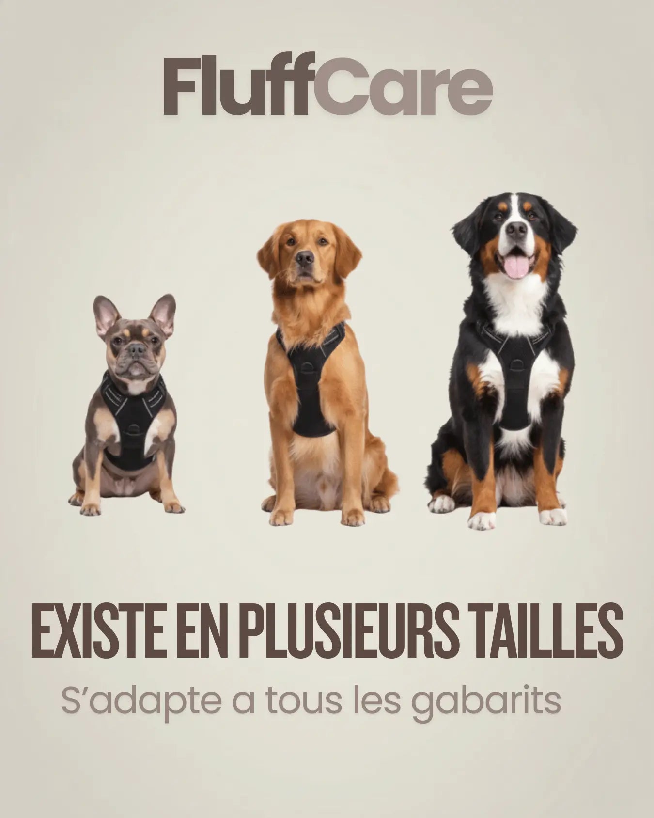 Harnais SafeWalk™ – Confort & Sécurité pour Chien FluffCare