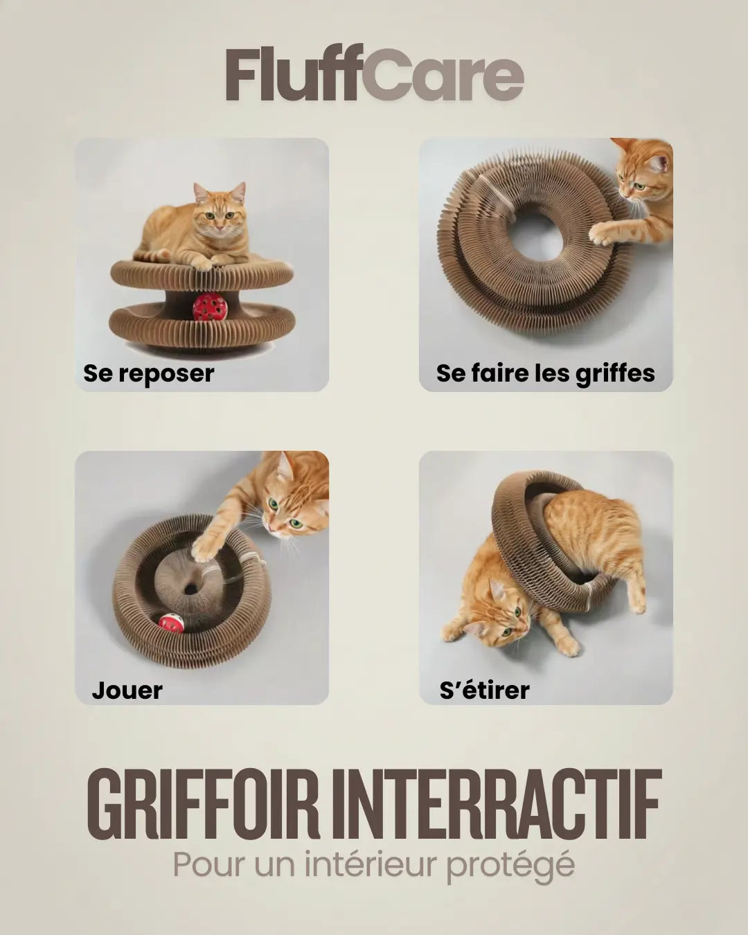 Griffoir Interactif FluffCare FluffCare